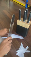 Gastreaux 6pcs Round Tip Knife Set + Built-in Sharpener